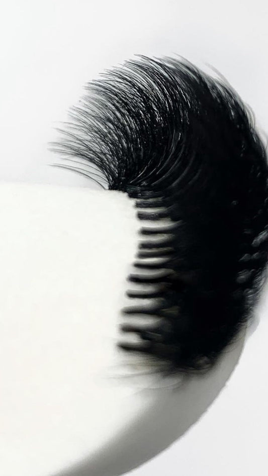 1:1 Beginner Lash Training